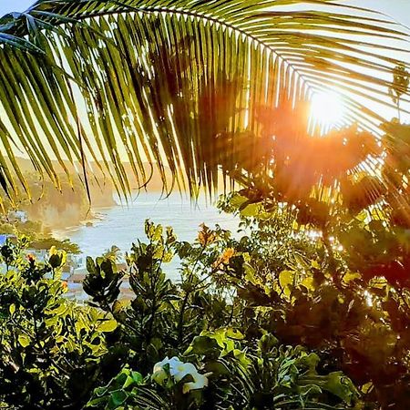 1 Coco Bambu Pipa Apto 1, A 200 M Da Praia E A 100 M Do Centro Da Cidade Praia de Pipa Zewnętrze zdjęcie