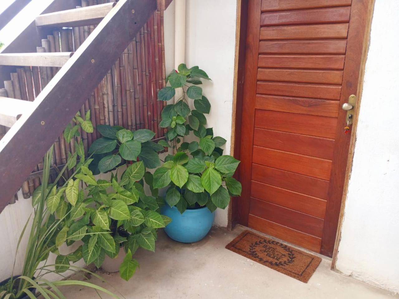 1 Coco Bambu Pipa Apto 1, A 200 M Da Praia E A 100 M Do Centro Da Cidade Praia de Pipa Zewnętrze zdjęcie